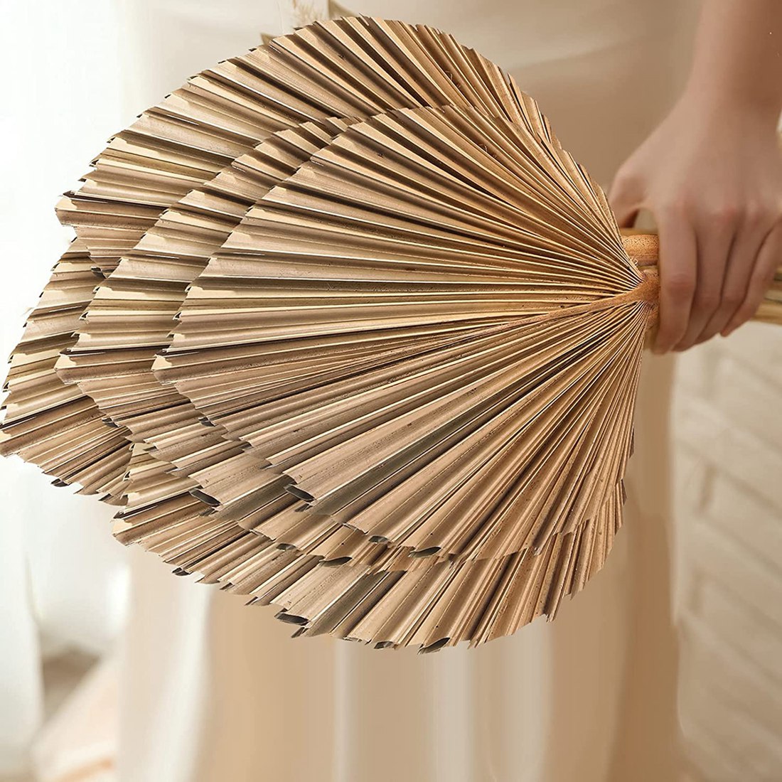 Palm Leaf Dried - 5 قطعة أوراق النخيل المجففة الطبيعية