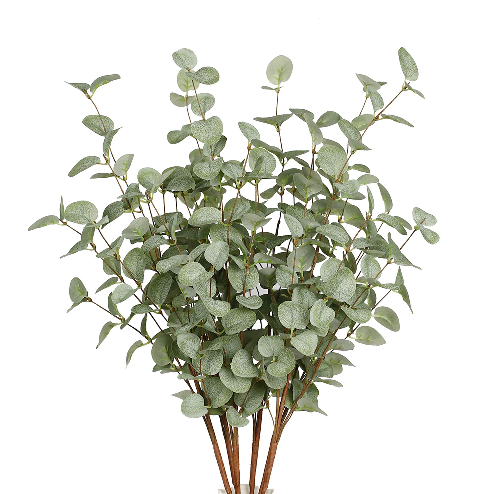 Eucalyptus Preserved - فو الأوكالبتوس ينبع النباتات الاصطناعية وهمية