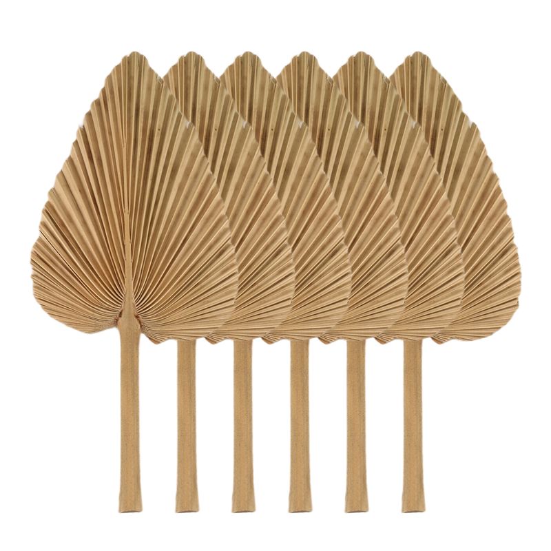 Palm Leaf Dried - أوراق نخيل مجففة طبيعية AT84-6PCS، مراوح