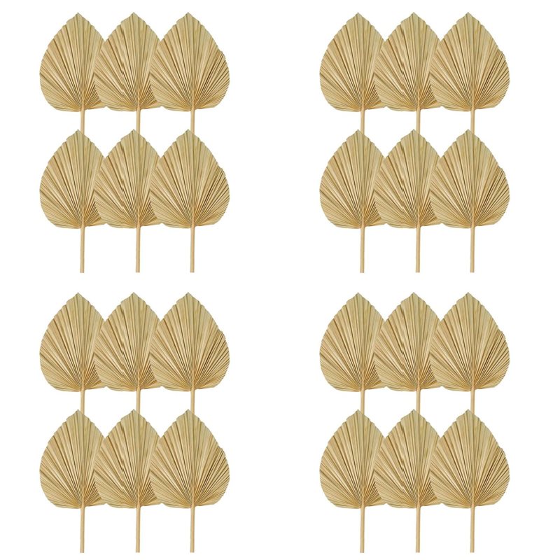 Palm Leaf Dried - 【عيد الميلاد】24 قطعة من أوراق النخيل