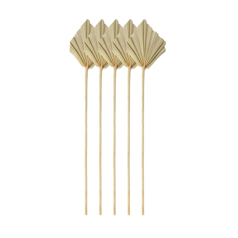 Palm Leaf Dried - A67P-Boho أوراق نخيل مجففة صغيرة طبيعية