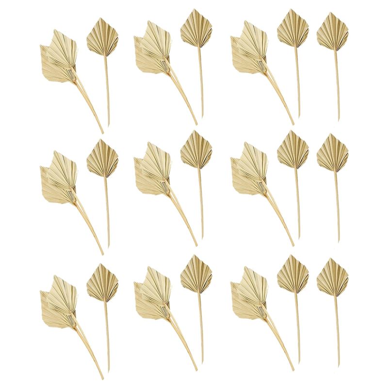 Palm Leaf Dried - AS60-30 قطعة من شفرات النخيل المجففة
