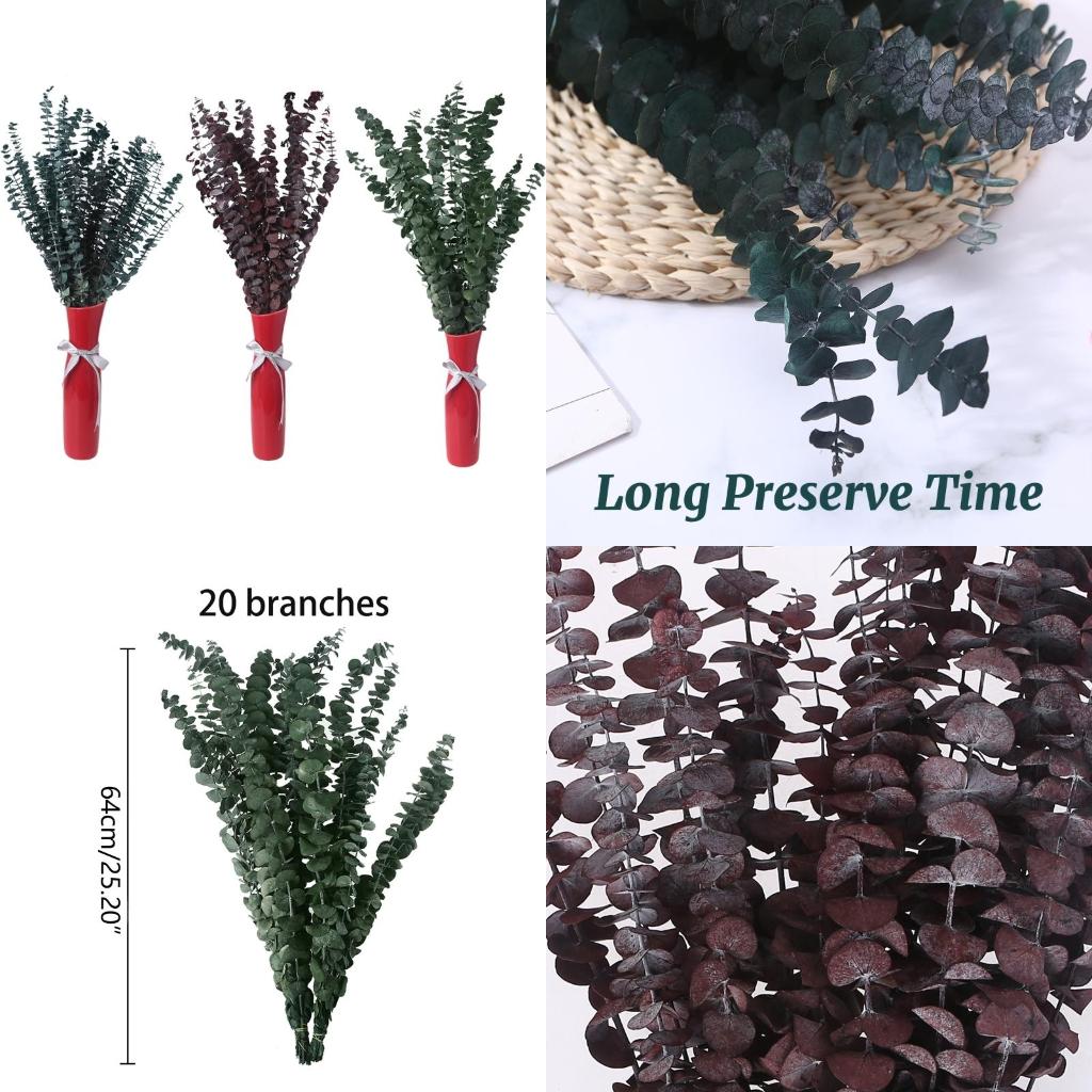 Eucalyptus Preserved - 20 قطعة محفوظة لفروع الأوكالبتوس الطازجة
