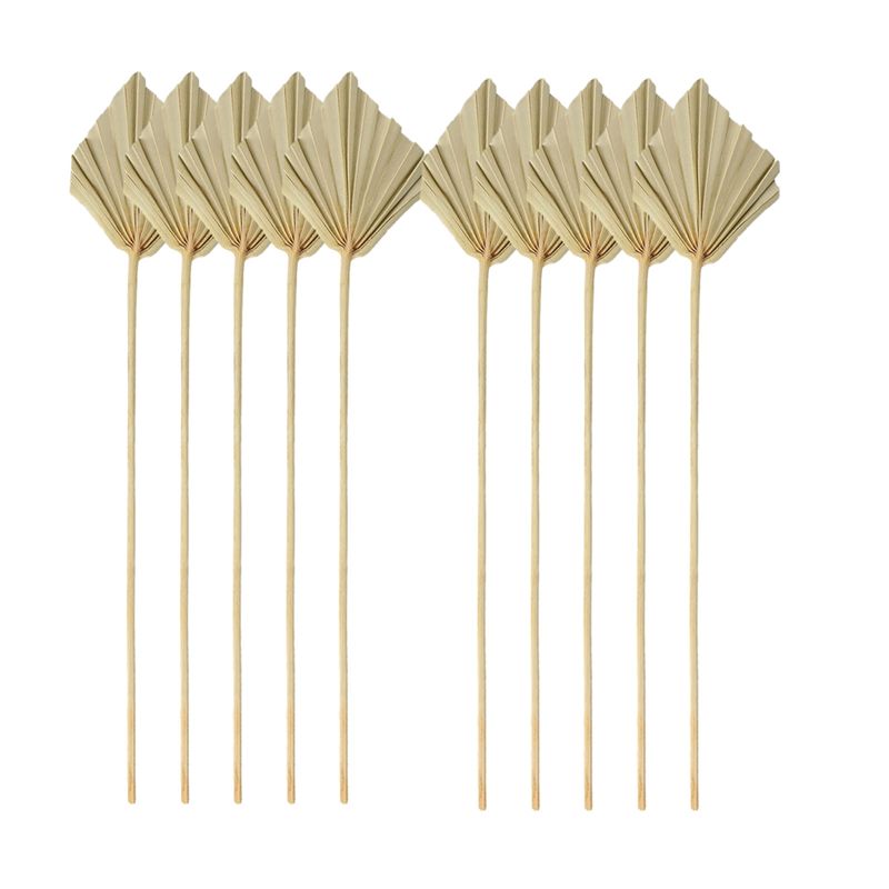 Palm Leaf Dried - TFORU-Boho أوراق نخيل مجففة صغيرة طبيعية
