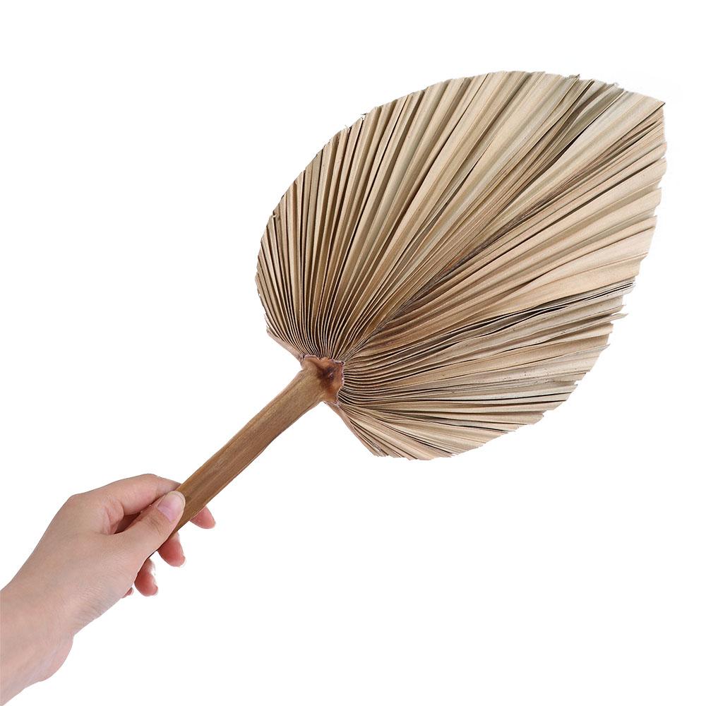 Palm Leaf Dried - أوراق نباتية مجففة من سهام النخيل