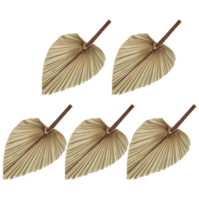 Palm Leaf Dried - 5 قطع من أوراق النخيل الطبيعية