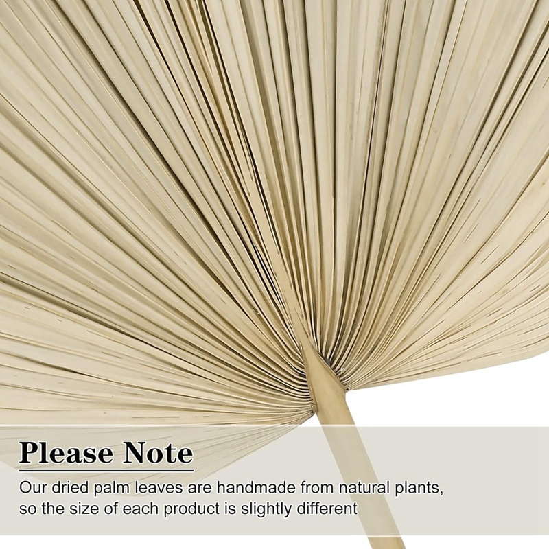 Palm Leaf Dried - جديد 6 قطعة أوراق النخيل المجففة