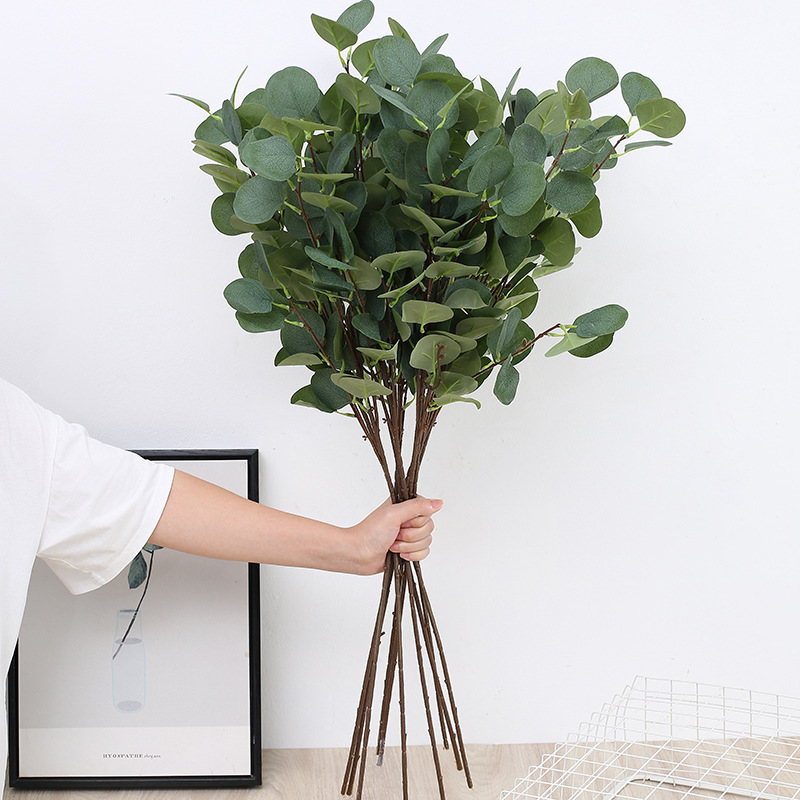 Eucalyptus Preserved - 1 قطعة غصن أوراق التفاح واليوكاليبتوس