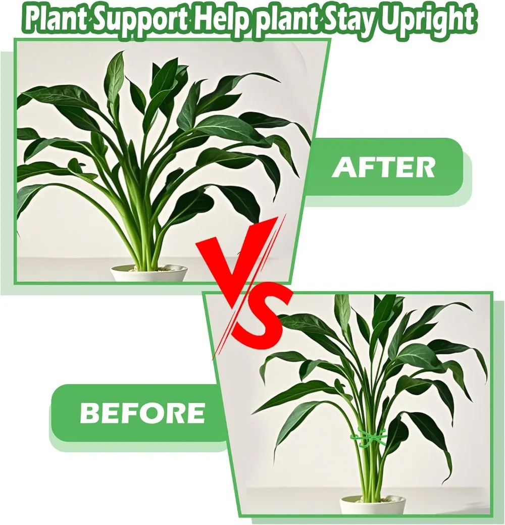 زهرة النبات الجذعية دعم حصص تس - مراجعة Florist Supply Bulk وسعره