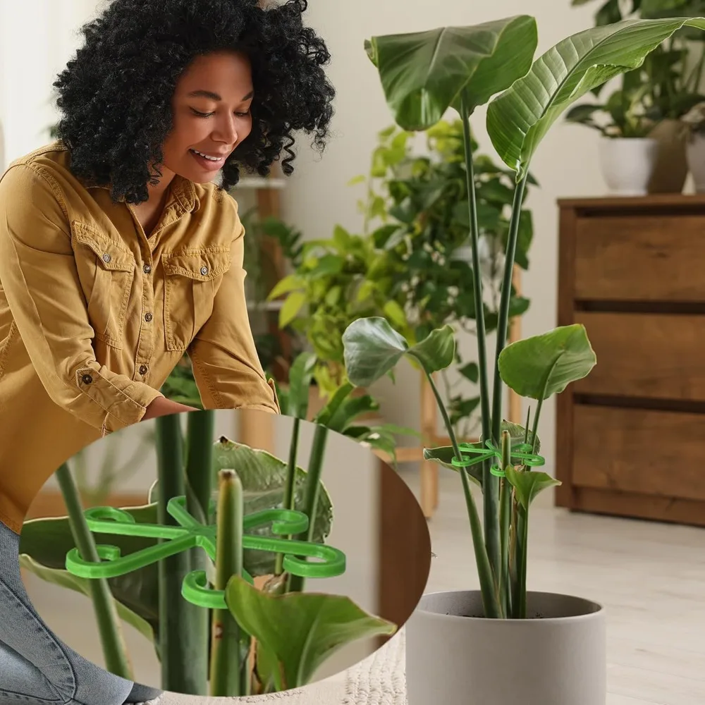 زهرة النبات الجذعية دعم حصص تس - مراجعة Florist Supply Bulk وسعره