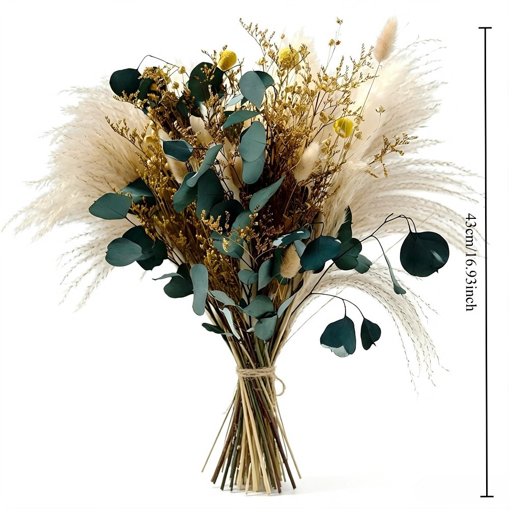باقة عشب البامباس المجفف الطبي - مراجعة Eucalyptus Preserved وسعره
