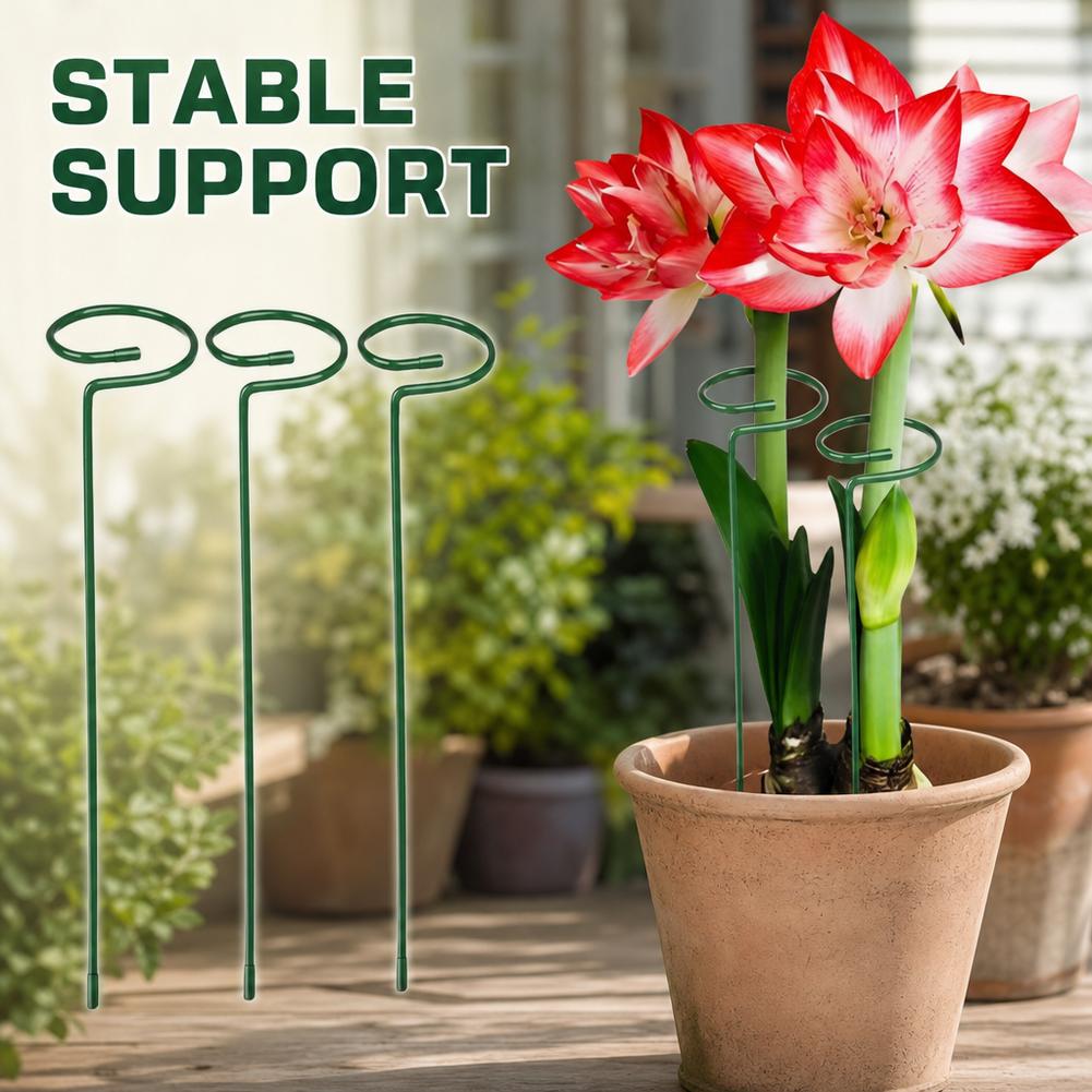 قضبان معدنية لدعم النباتات، دع - مراجعة Florist Supply Bulk وسعره