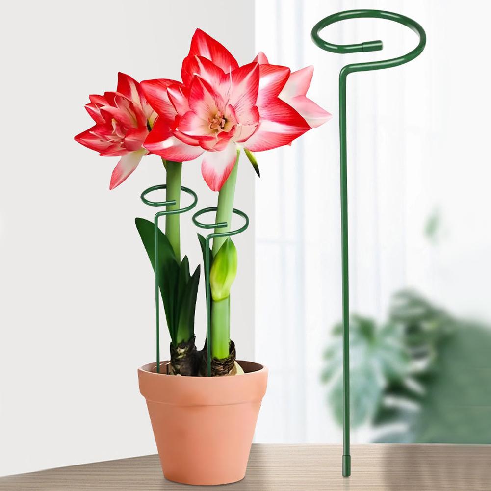 قضبان معدنية لدعم النباتات، دع - مراجعة Florist Supply Bulk وسعره