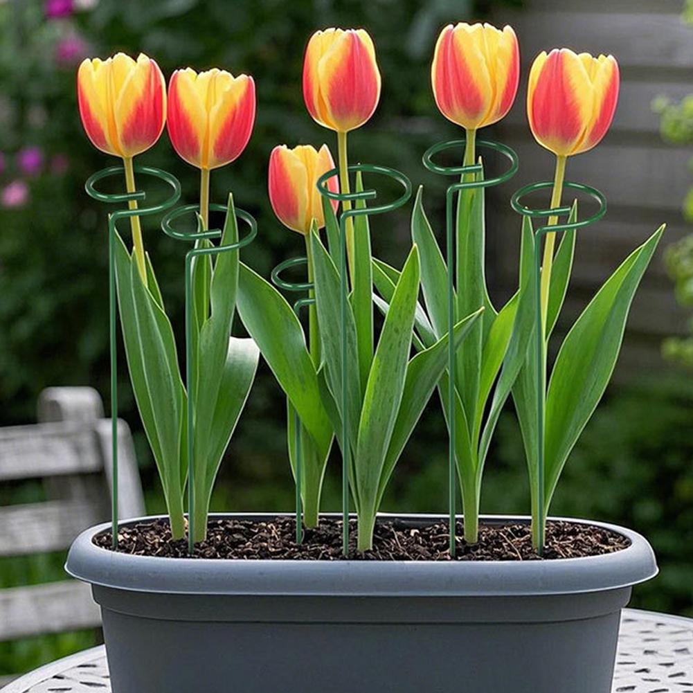 قضبان معدنية لدعم النباتات، دع - مراجعة Florist Supply Bulk وسعره