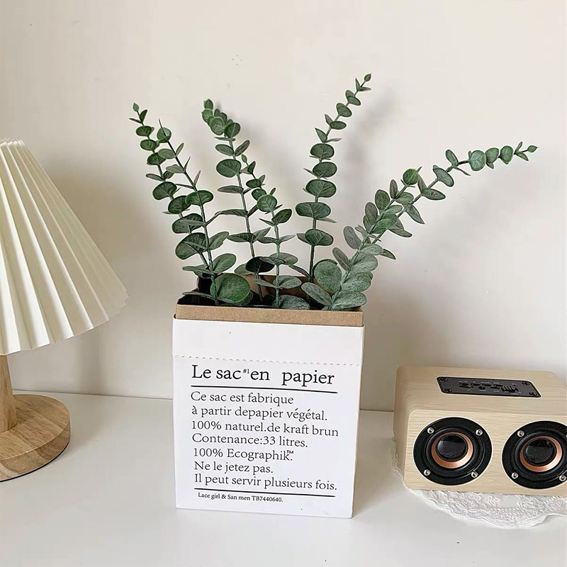 20 قطعة سيقان الأوكالبتوس الاص - مراجعة Eucalyptus Preserved وسعره