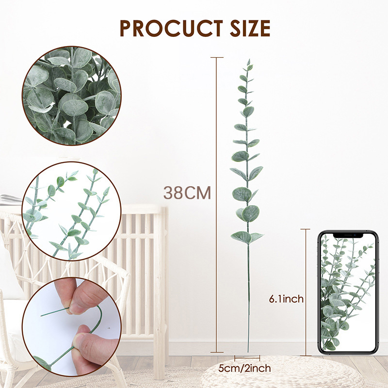 20 قطعة سيقان الأوكالبتوس الاص - مراجعة Eucalyptus Preserved وسعره