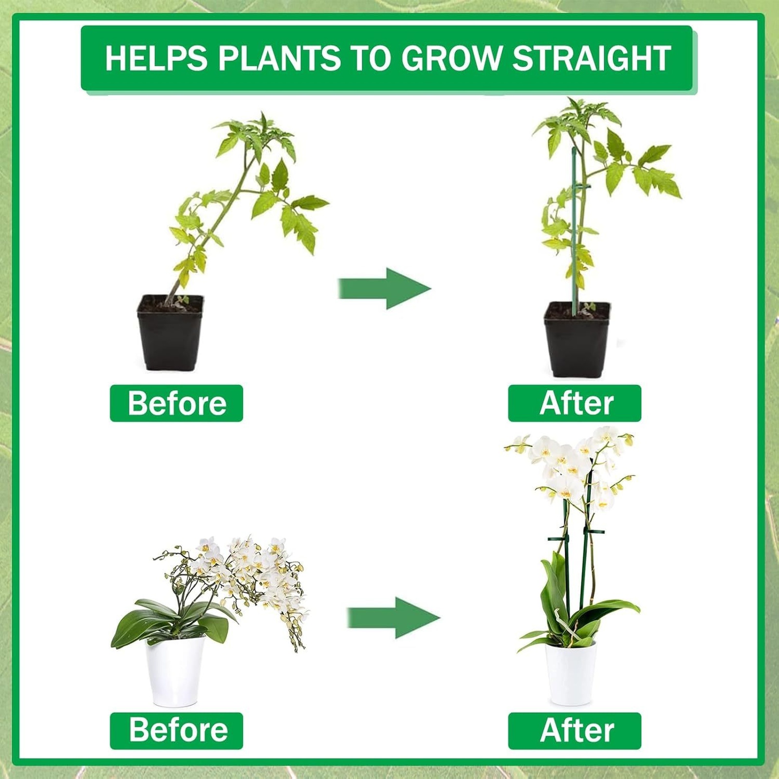 دعامات نباتات قابلة للتعديل، أ - مراجعة Florist Supply Bulk وسعره