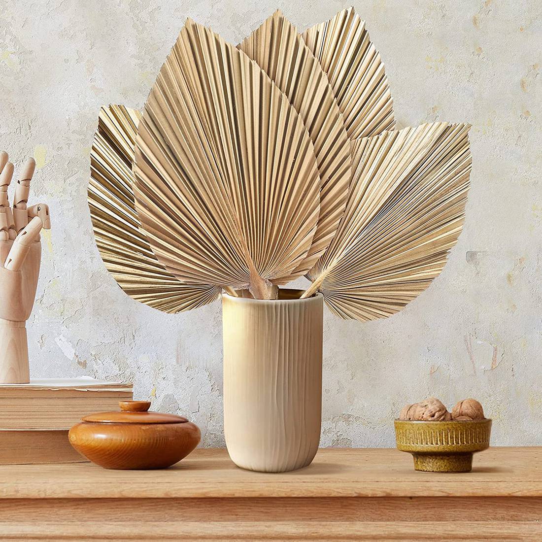 5 قطعة أوراق النخيل المجففة ال - مراجعة Palm Leaf Dried وسعره