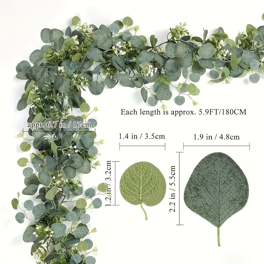1 قطعة أوراق الأوكالبتوس الاصط - مراجعة Eucalyptus Preserved وسعره