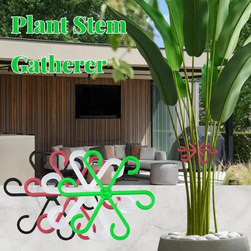 مشبك دعم ساق النبات، رف تثبيت  - مراجعة Florist Supply Bulk وسعره