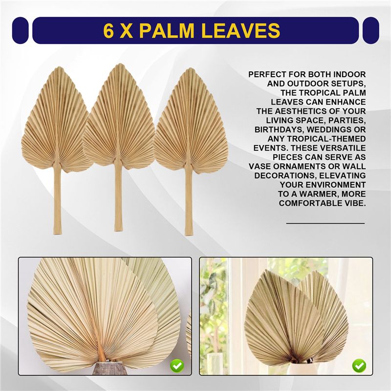 أوراق نخيل مجففة طبيعية AT84-6 - مراجعة Palm Leaf Dried وسعره