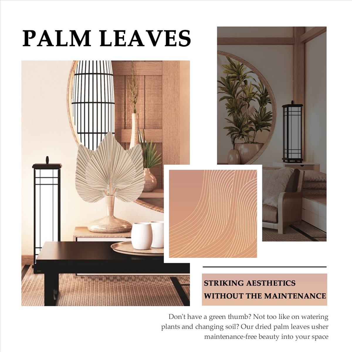 أوراق نخيل مجففة من NOCM لتزيي - مراجعة Palm Leaf Dried وسعره