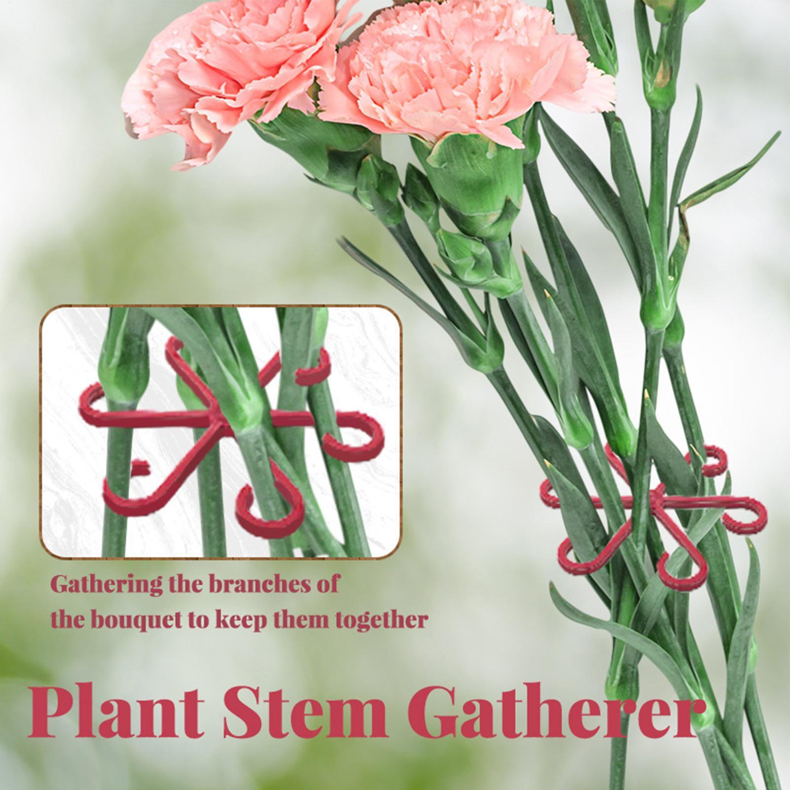 4 قطع مشبك تثبيت النباتات، إطا - مراجعة Florist Supply Bulk وسعره