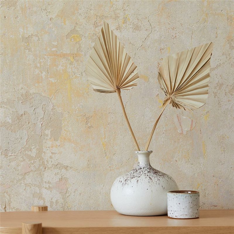 أوراق نخيل مجففة صغيرة طبيعية  - مراجعة Palm Leaf Dried وسعره