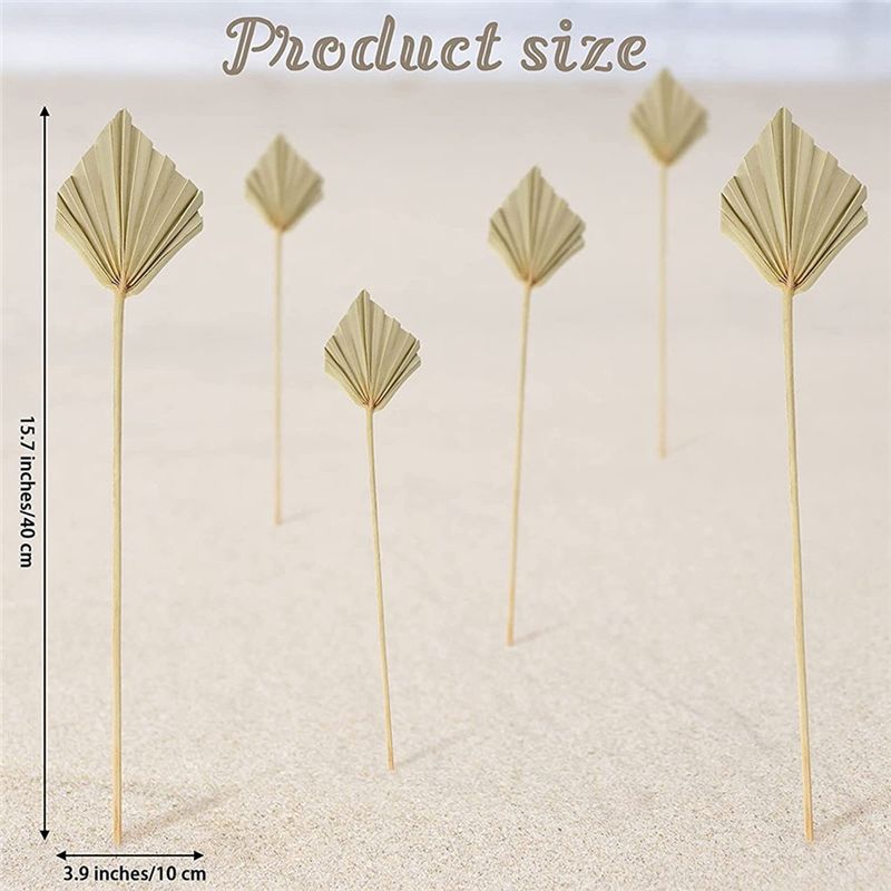 AS60-30 قطعة من شفرات النخيل ا - مراجعة Palm Leaf Dried وسعره