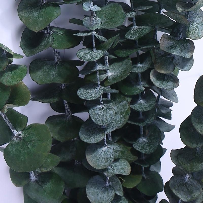 20 قطعة محفوظة لفروع الأوكالبت - مراجعة Eucalyptus Preserved وسعره