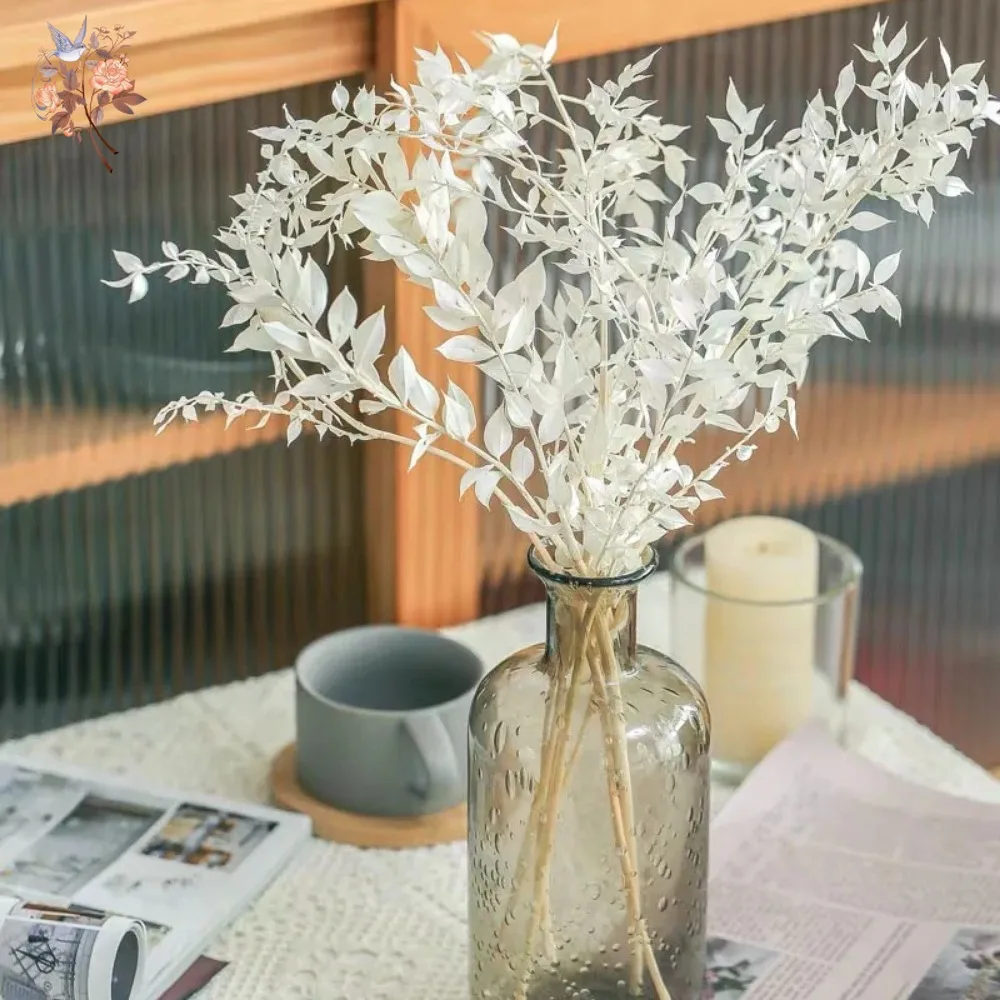 50 جرام من أوراق الكافور الاصط - مراجعة Eucalyptus Preserved وسعره