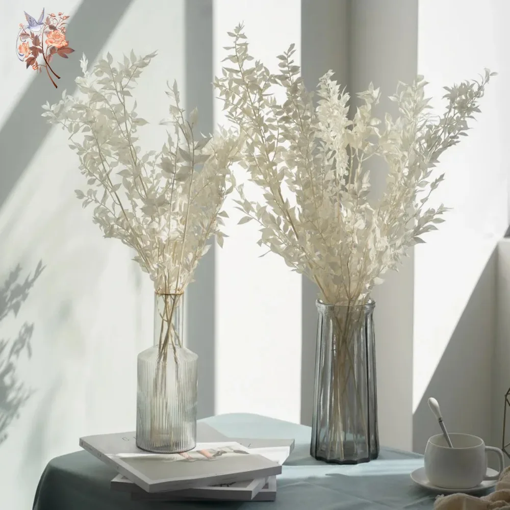 50 جرام من أوراق الكافور الاصط - مراجعة Eucalyptus Preserved وسعره
