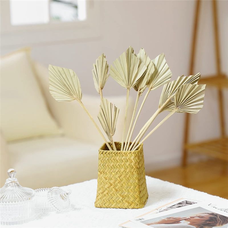 TFORU-Boho أوراق نخيل مجففة صغ - مراجعة Palm Leaf Dried وسعره