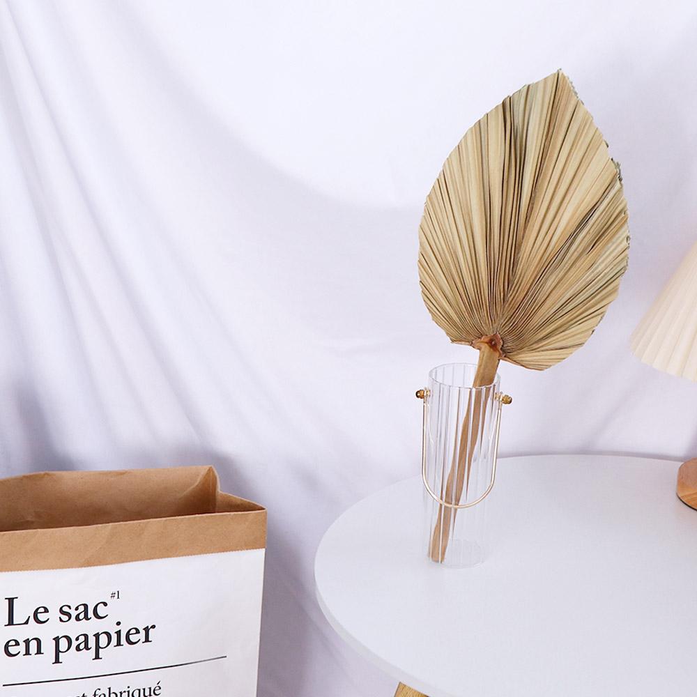 أوراق نباتية مجففة من سهام الن - مراجعة Palm Leaf Dried وسعره