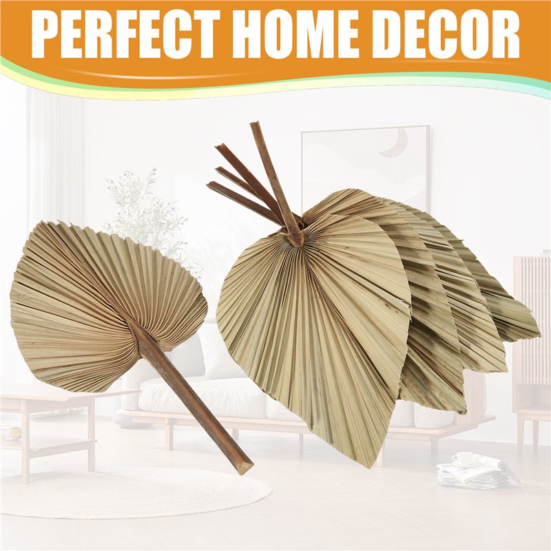 5 قطع من أوراق النخيل الطبيعية - مراجعة Palm Leaf Dried وسعره