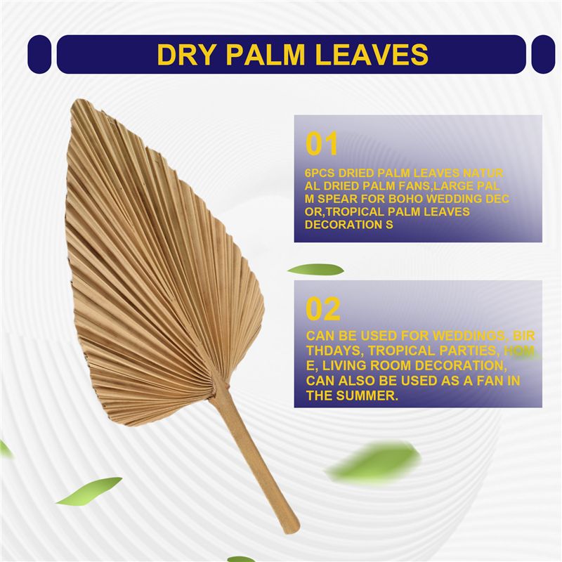 أوراق نخيل مجففة طبيعية من ABK - مراجعة Palm Leaf Dried وسعره