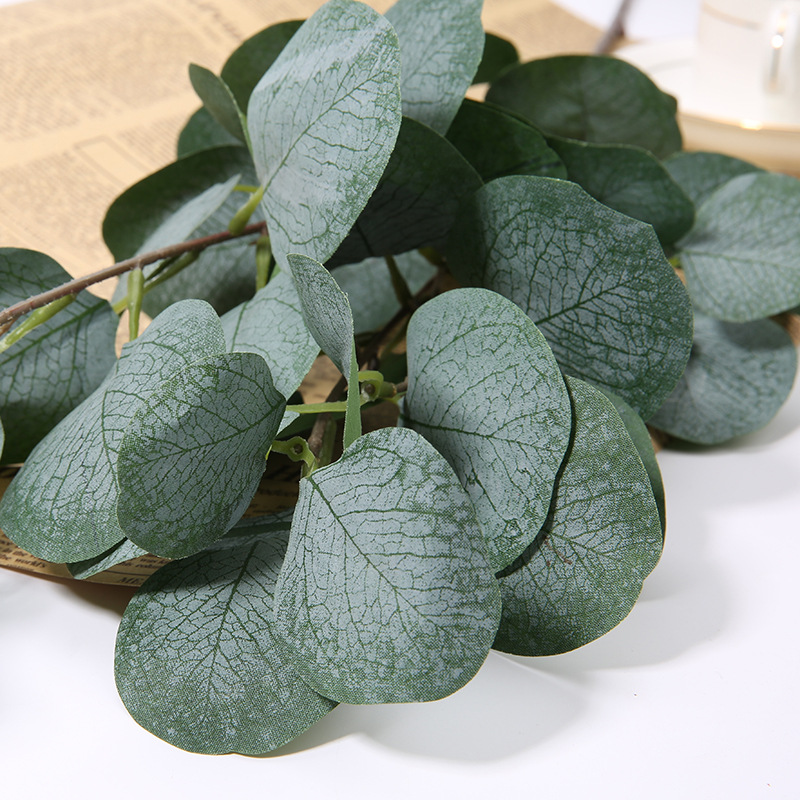 1 قطعة غصن أوراق التفاح واليوك - مراجعة Eucalyptus Preserved وسعره