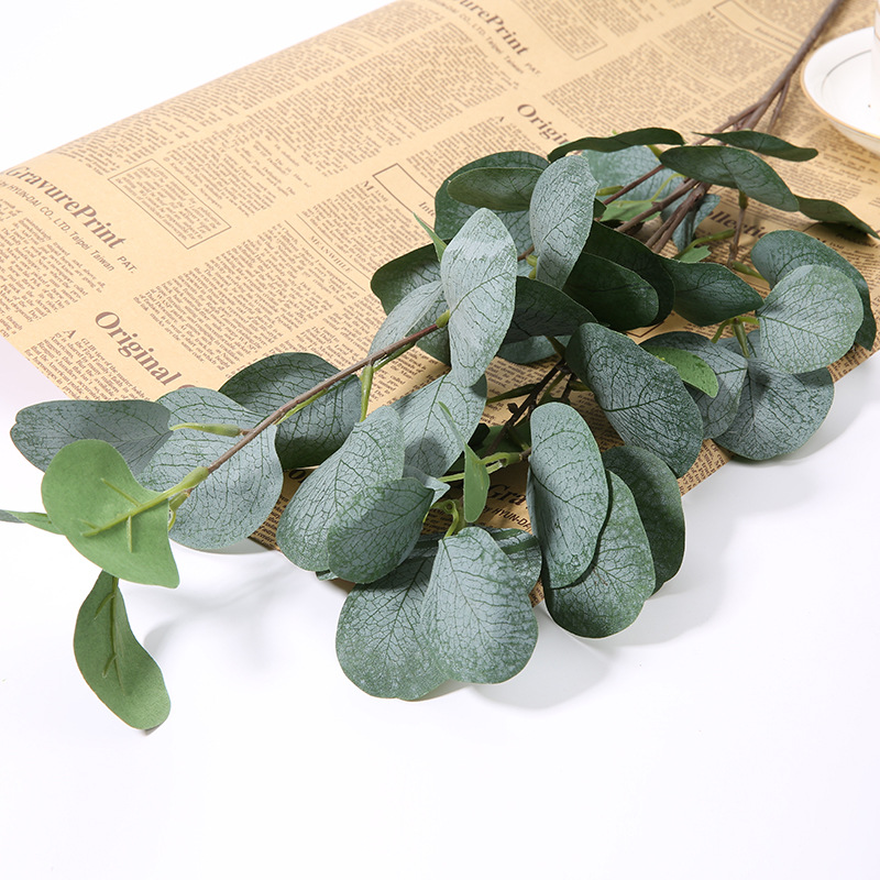 1 قطعة غصن أوراق التفاح واليوك - مراجعة Eucalyptus Preserved وسعره