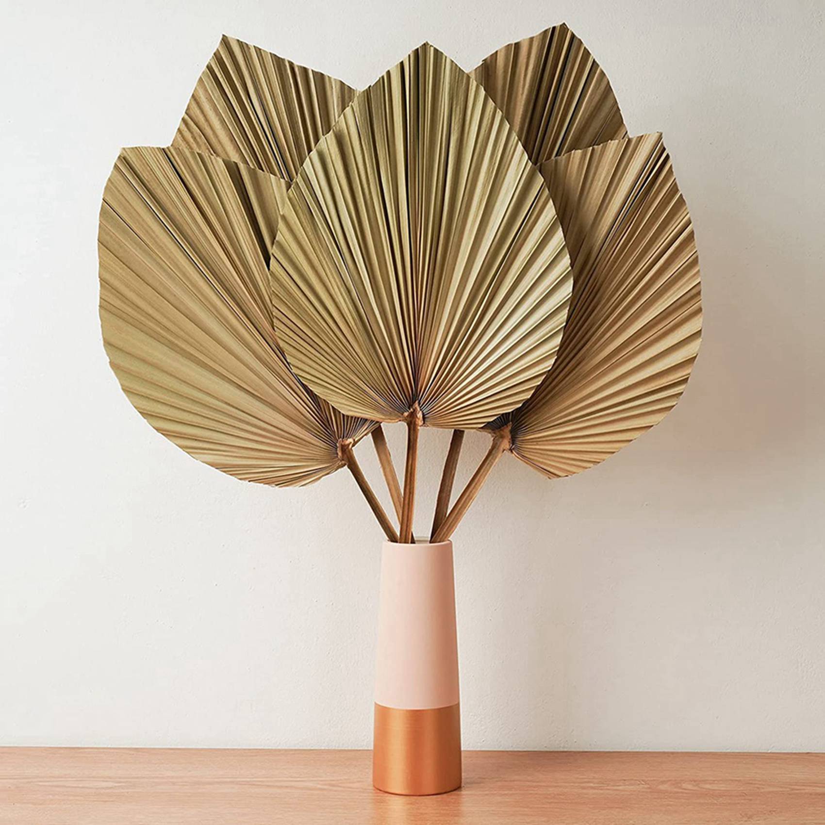 أوراق النخيل المجففة لديكور ال - مراجعة Palm Leaf Dried وسعره